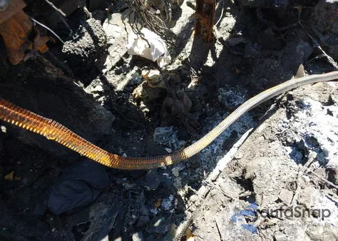 2019 Kia Forte Lxs from USA, damaged, VIN 3KPF24AD8KE028328